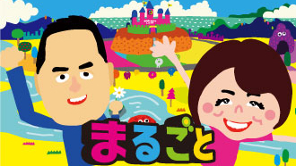 Work by Shizuoka Daiichi Television